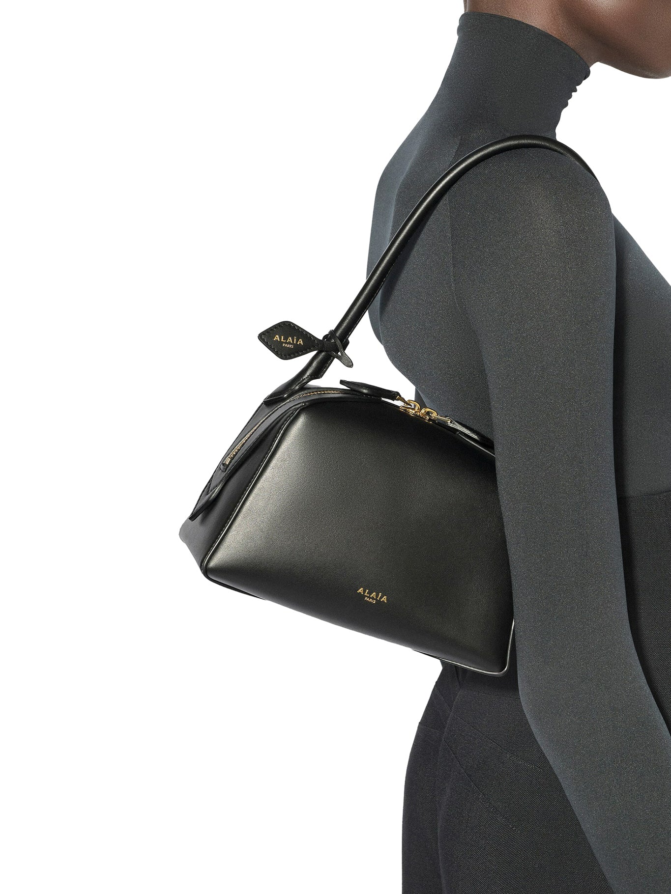 LE TECKEL SMALL CALFSKIN BAG - Image 2