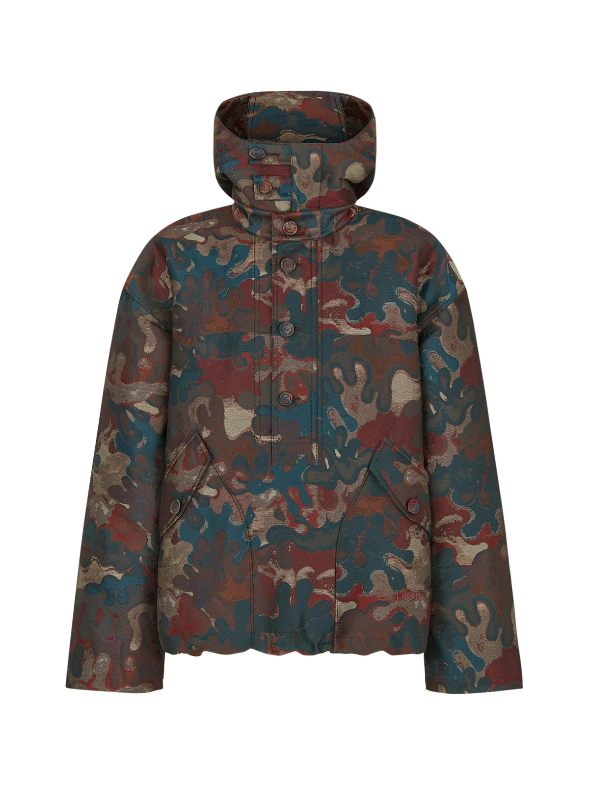 HOODED ANORAK DIOR AND PETER DOIG - Image 2