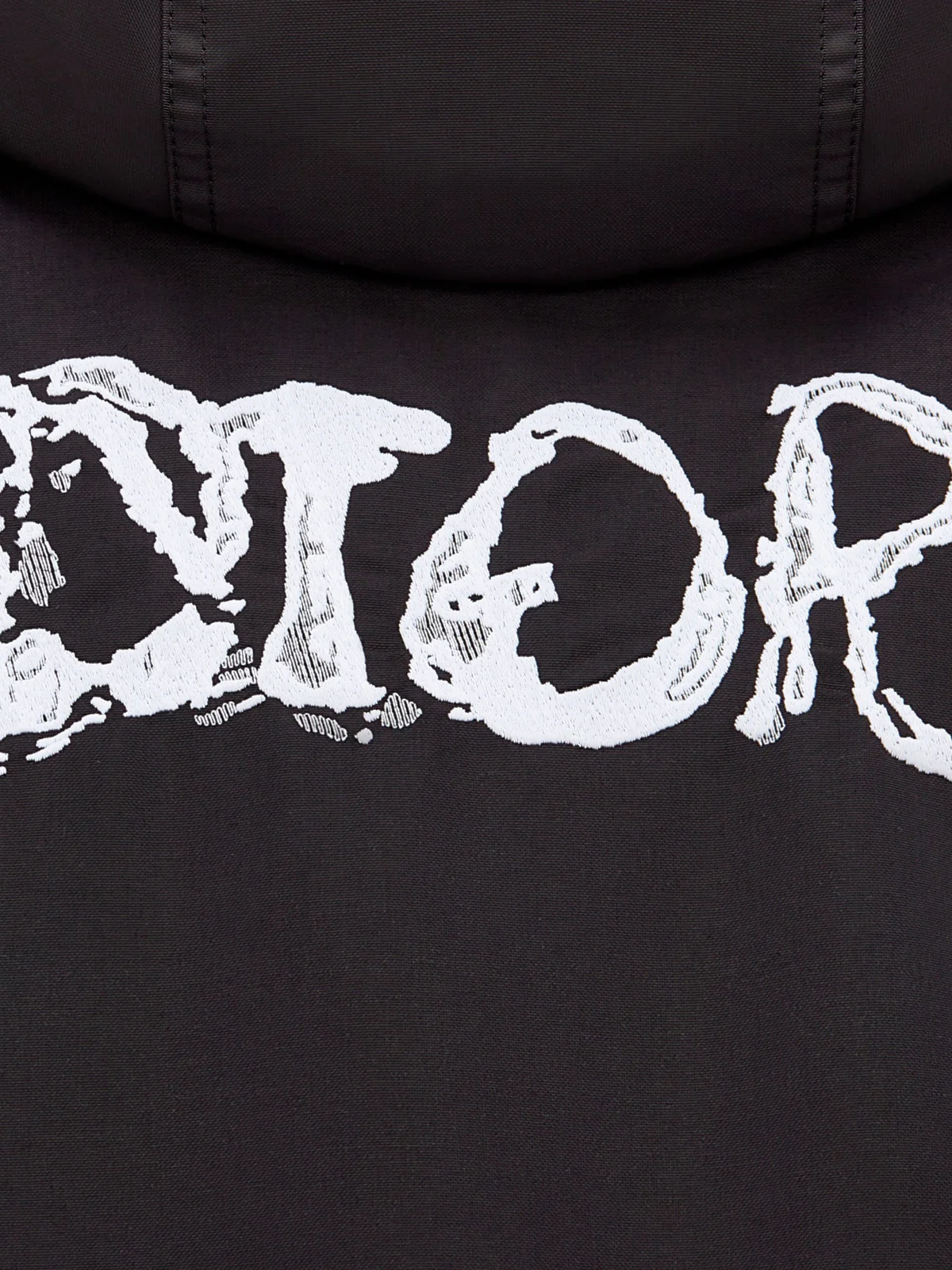 PARKA DIOR AND PETER DOIG - Image 6